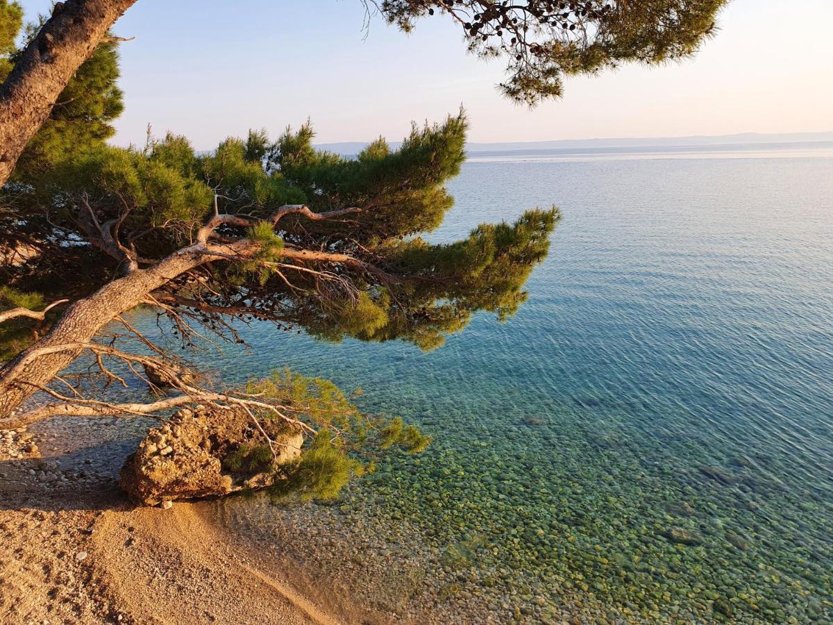 Villa La Vita Башка-Вода Экстерьер фото